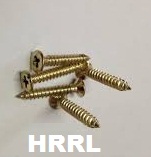 SS Full Thread Screw Brass Polish